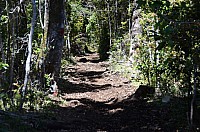 DSC_3446.JPG DSC_3446.JPG