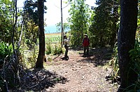 DSC_3452.JPG DSC_3452.JPG