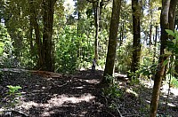 DSC_3456.JPG DSC_3456.JPG