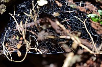 DSC_3460.JPG DSC_3460.JPG