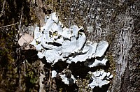 DSC_3461.JPG DSC_3461.JPG