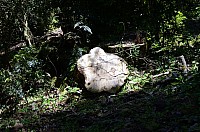 DSC_3462.JPG DSC_3462.JPG