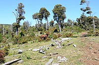 DSC_3479.JPG DSC_3479.JPG