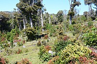 DSC_3481.JPG DSC_3481.JPG