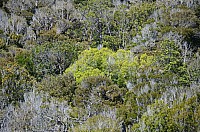 DSC_3483.JPG DSC_3483.JPG