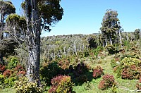 DSC_3484.JPG DSC_3484.JPG