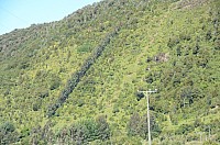 DSC_3500.JPG DSC_3500.JPG