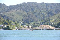DSC_3537.JPG DSC_3537.JPG