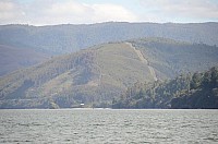 DSC_3539.JPG DSC_3539.JPG