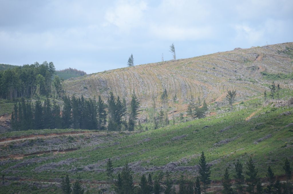 DSC_3657.JPG