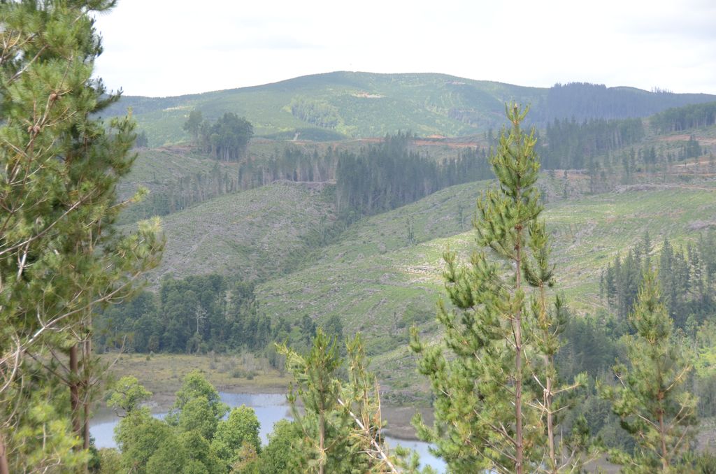 DSC_3684.JPG