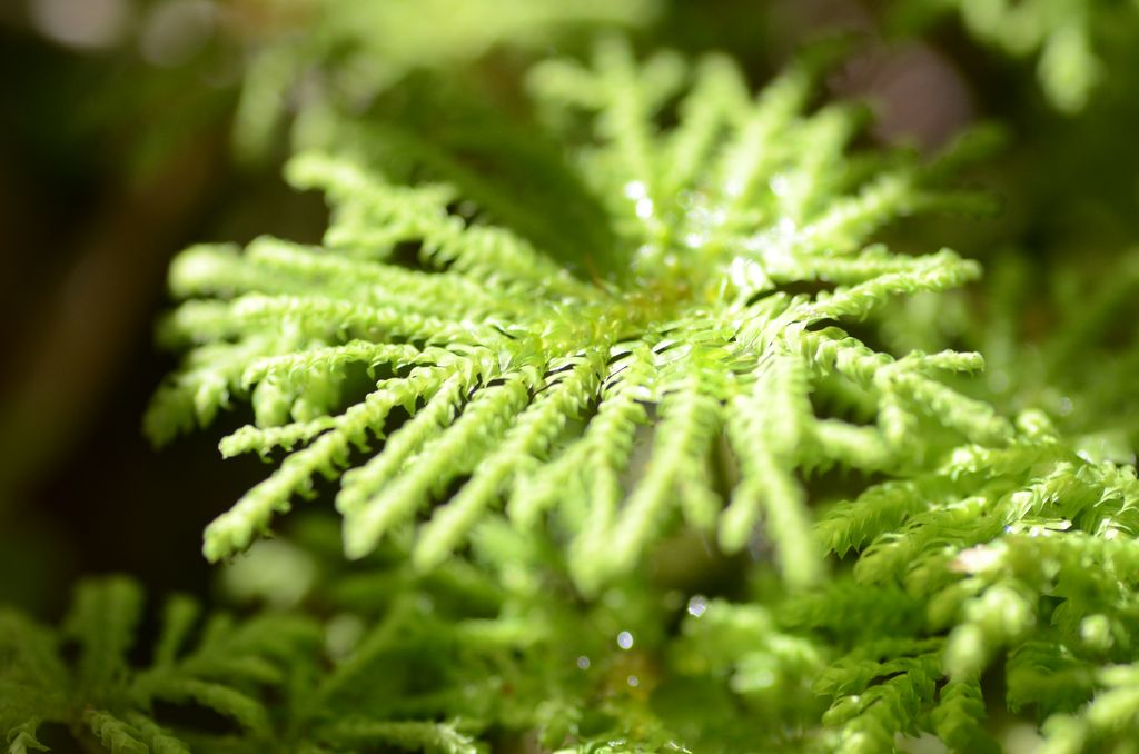 DSC_3837.JPG