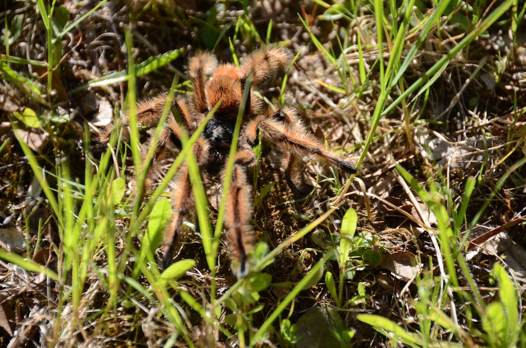 DSC_3854.JPG
