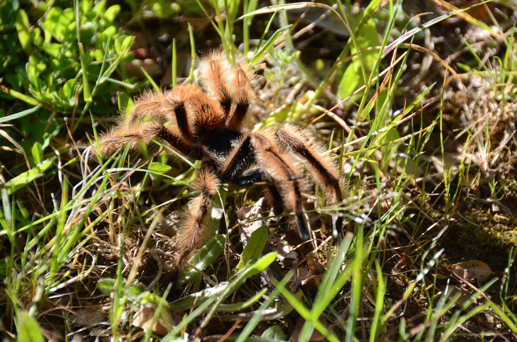 DSC_3859.JPG