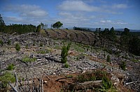 DSC_3555.JPG DSC_3555.JPG