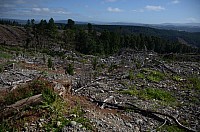 DSC_3557.JPG DSC_3557.JPG