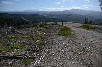 DSC_3558.JPG DSC_3558.JPG