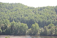DSC_3583.JPG DSC_3583.JPG