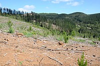 DSC_3593.JPG DSC_3593.JPG