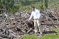 DSC_3605.JPG DSC_3605.JPG