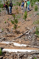 DSC_3616.JPG DSC_3616.JPG