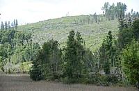 DSC_3640.JPG DSC_3640.JPG
