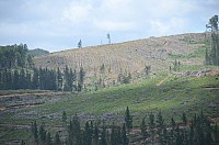 DSC_3656.JPG DSC_3656.JPG