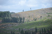 DSC_3657.JPG DSC_3657.JPG