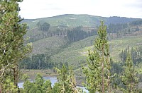 DSC_3684.JPG DSC_3684.JPG