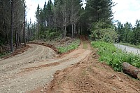 DSC_3706.JPG DSC_3706.JPG