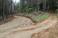 DSC_3707.JPG DSC_3707.JPG