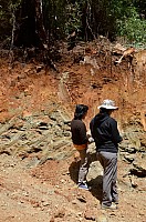 DSC_3727.JPG DSC_3727.JPG
