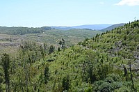 DSC_3737.JPG DSC_3737.JPG