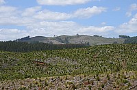 DSC_3741.JPG DSC_3741.JPG