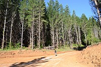 DSC_3804.JPG DSC_3804.JPG
