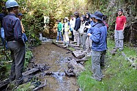 DSC_3823.JPG DSC_3823.JPG