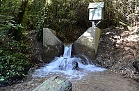 DSC_3829.JPG DSC_3829.JPG