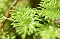 DSC_3841.JPG DSC_3841.JPG
