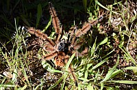 DSC_3869.JPG DSC_3869.JPG