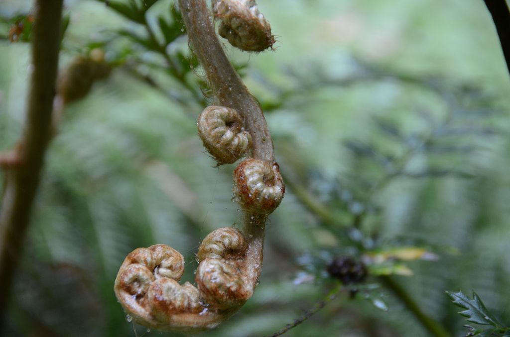 DSC_4062.JPG