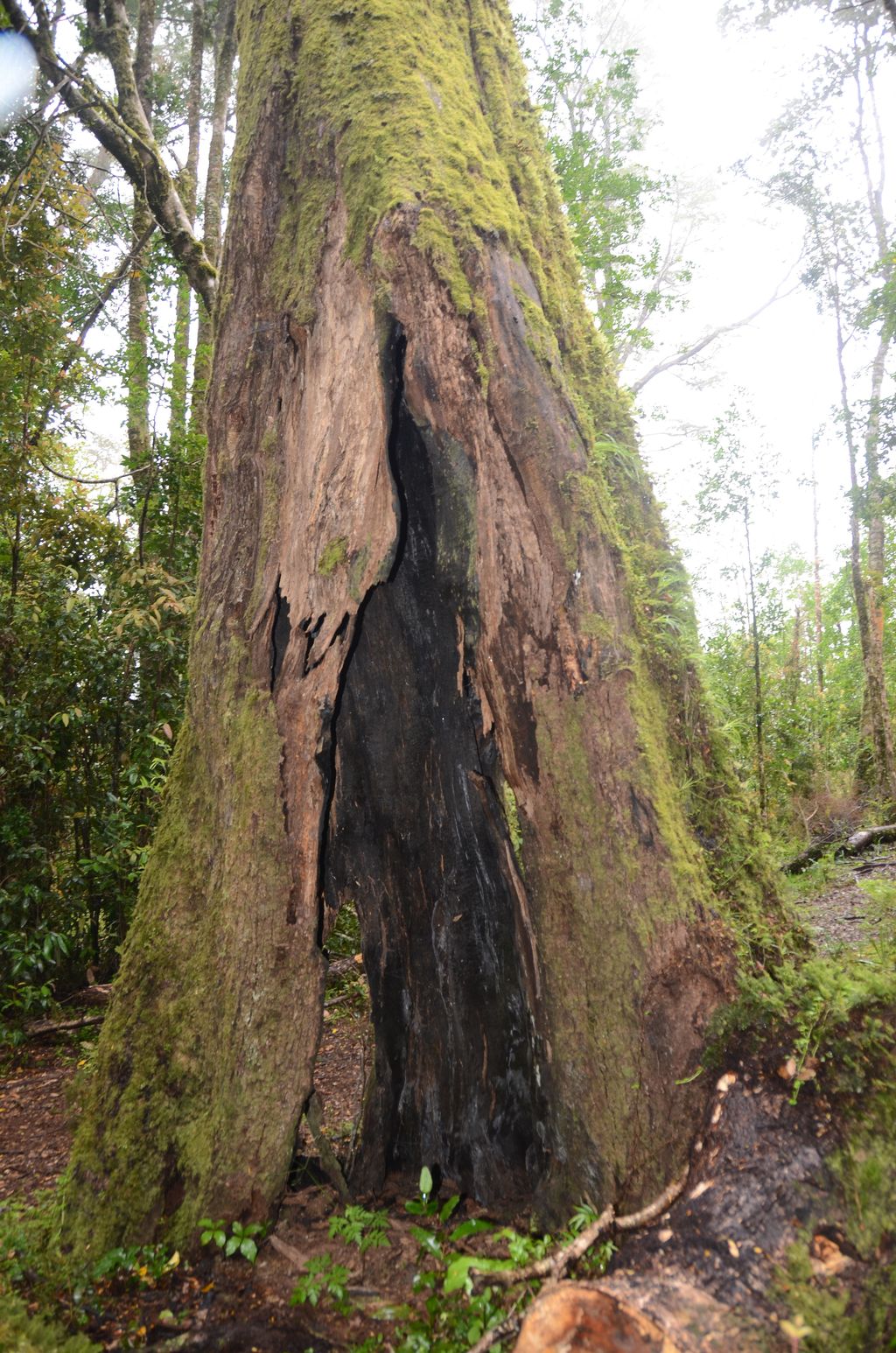 DSC_4169.JPG