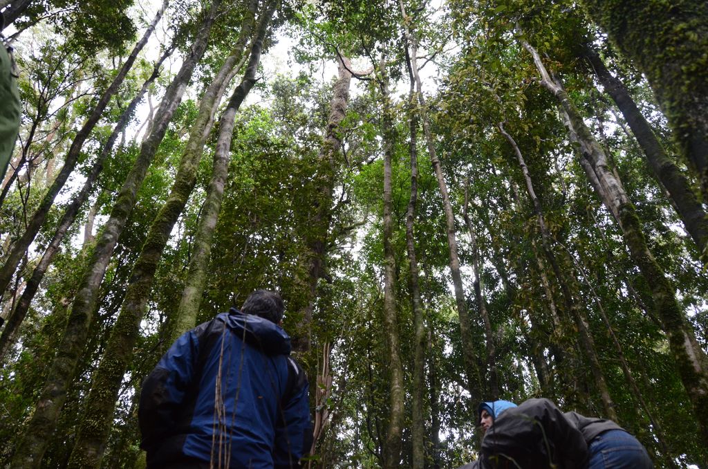 DSC_4190.JPG