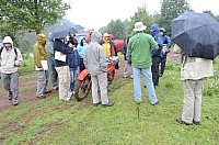 DSC_3887.JPG DSC_3887.JPG