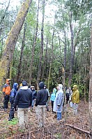 DSC_3901.JPG DSC_3901.JPG