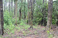 DSC_3902.JPG DSC_3902.JPG