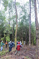 DSC_3903.JPG DSC_3903.JPG