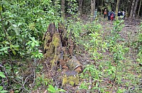 DSC_3911.JPG DSC_3911.JPG