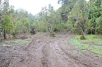 DSC_3912.JPG DSC_3912.JPG