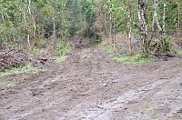 DSC_3913.JPG DSC_3913.JPG