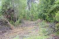 DSC_3917.JPG DSC_3917.JPG